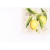 Serwetka -2282-